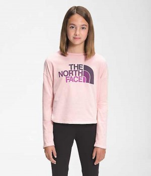 Camiseta The North Face Graphic Niña Rosas | 3475620-WB