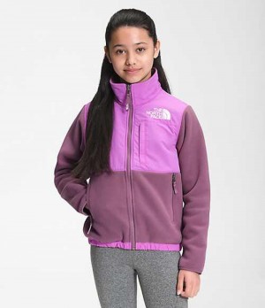 Chaquetas The North Face 95 Retro Denali Niña Moradas | 7824690-AU