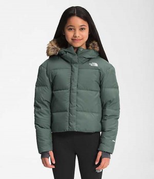 Chaquetas The North Face Dealio Niña Verde | 2361579-SU