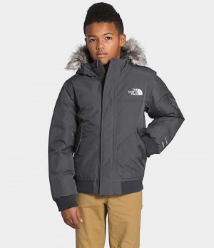 Chaquetas The North Face Gotham Niño Gris | 6870942-EI