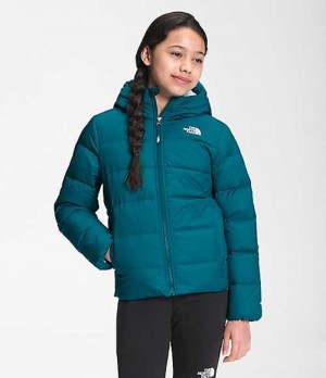 Chaquetas The North Face Moondoggy Niña Azules Oscuro | 3156270-WY