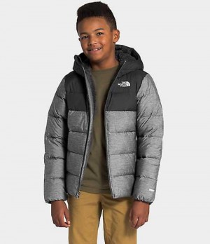 Chaquetas The North Face Moondoggy Niña Gris | 4327659-ZB