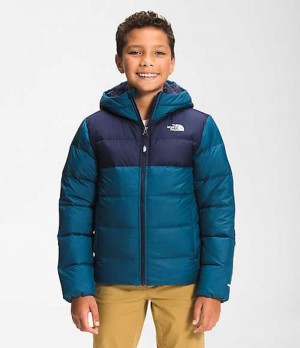 Chaquetas The North Face Moondoggy Niño Azules | 1740982-FT