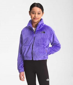 Chaquetas The North Face Osolita Niña Moradas | 7826934-VC