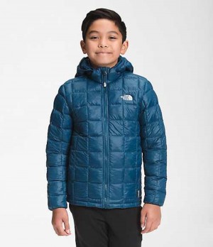 Chaquetas The North Face ThermoBall™ Eco Niño Azules | 5942670-PR