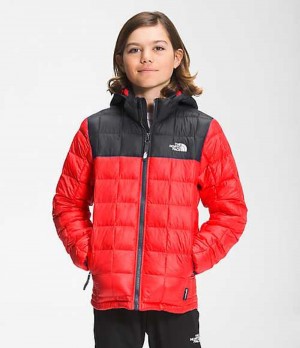 Chaquetas The North Face ThermoBall™ Eco Niño Rojas | 3748516-BL