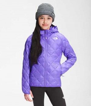 Chaquetas The North Face ThermoBall™ Eco Niña Moradas | 9784061-EJ