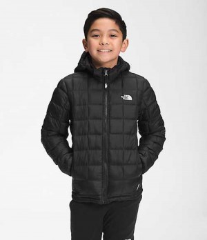 Chaquetas The North Face ThermoBall™ Eco Niño Negras | 6498350-XC