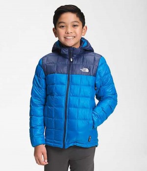 Chaquetas The North Face ThermoBall™ Eco Niño Azules | 0917256-ED