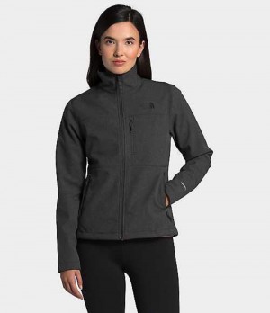 Softshell Jackets The North Face Apex Bionic Mujer Gris | 4718526-XL