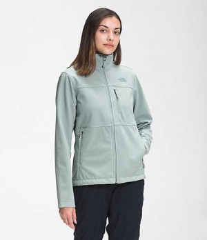 Softshell Jackets The North Face Apex Bionic Mujer Plateadas Azules | 9425318-MA