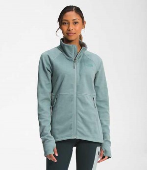 Softshell Jackets The North Face Canyonlands Mujer Plateadas Azules | 1386790-WQ