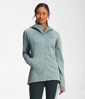 Softshell Jackets The North Face Canyonlands Mujer Plateadas Azules | 4718203-CW