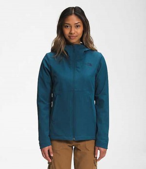 Softshell Jackets The North Face Shelbe Raschel Mujer Azules | 2509731-FC