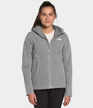 Softshell Jackets The North Face Shelbe Raschel Mujer Gris | 6580291-OQ