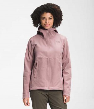 Softshell Jackets The North Face Shelbe Raschel Mujer Moradas | 8495216-EA