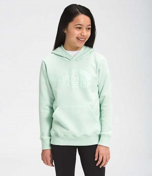 Sudadera con Capucha The North Face Camp Niña Verde Menta | 3725841-EW