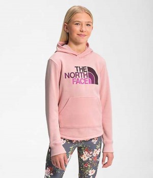 Sudadera con Capucha The North Face Camp Niña Rosas | 1087432-GM