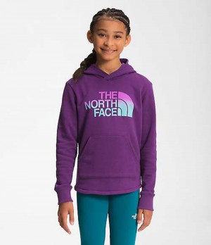 Sudadera con Capucha The North Face Camp Niña Moradas | 3458709-FT