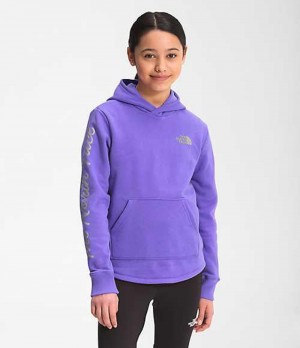 Sudadera con Capucha The North Face Camp Niña Moradas | 6497218-ES