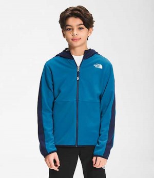 Sudadera con Capucha The North Face Glacier Niña Azules | 0719256-TV