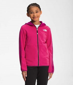 Sudadera con Capucha The North Face Glacier Niña Rosas Multicolor | 7029681-DW