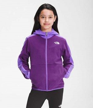 Sudadera con Capucha The North Face Glacier Niña Moradas | 2560819-JG