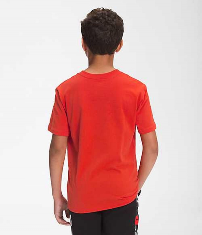 Camiseta The North Face Graphic Niño Rojas Negras | 8143609-RO