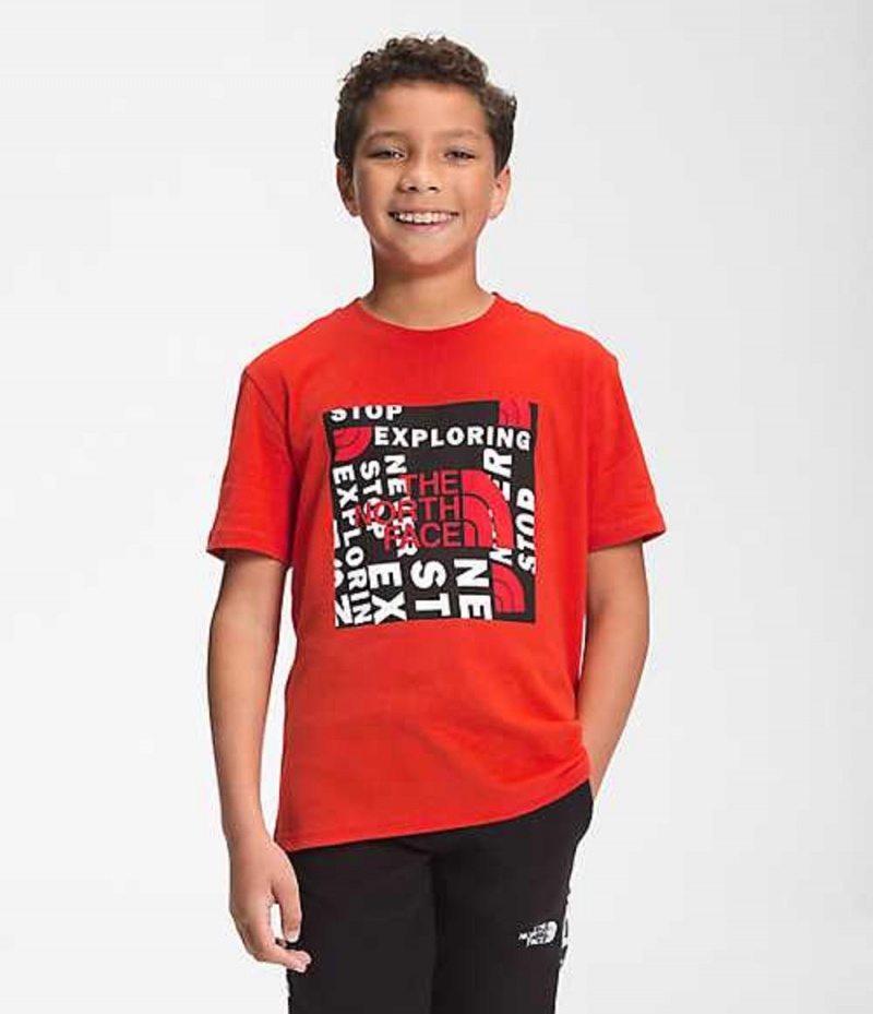 Camiseta The North Face Graphic Niño Rojas Negras | 8143609-RO