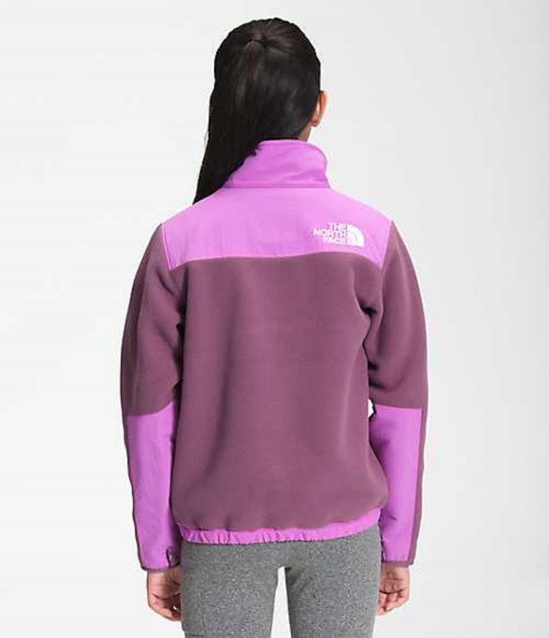 Chaquetas The North Face 95 Retro Denali Niña Moradas | 7824690-AU