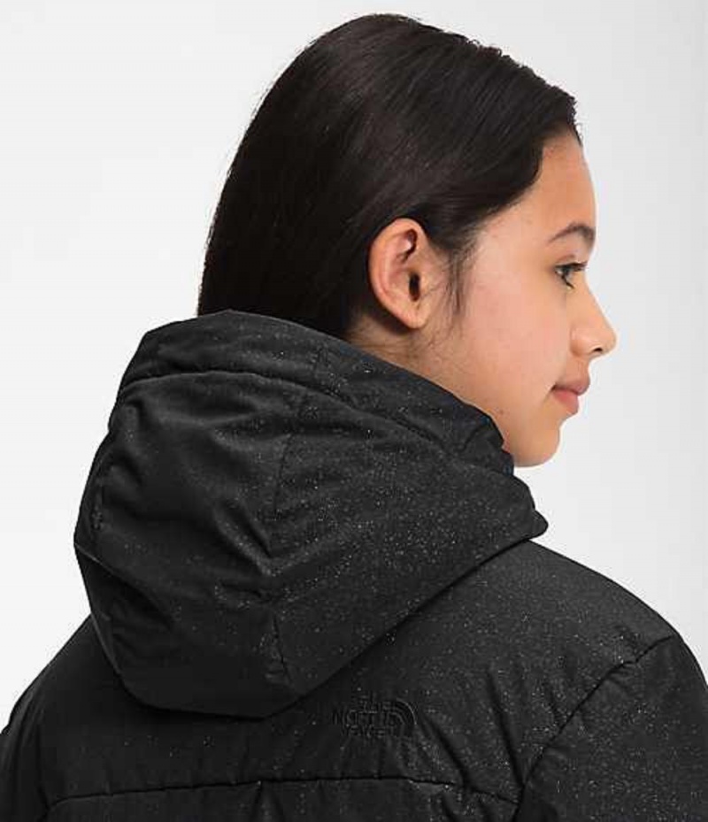 Chaquetas The North Face Dealio Niña Negras | 0413978-QC