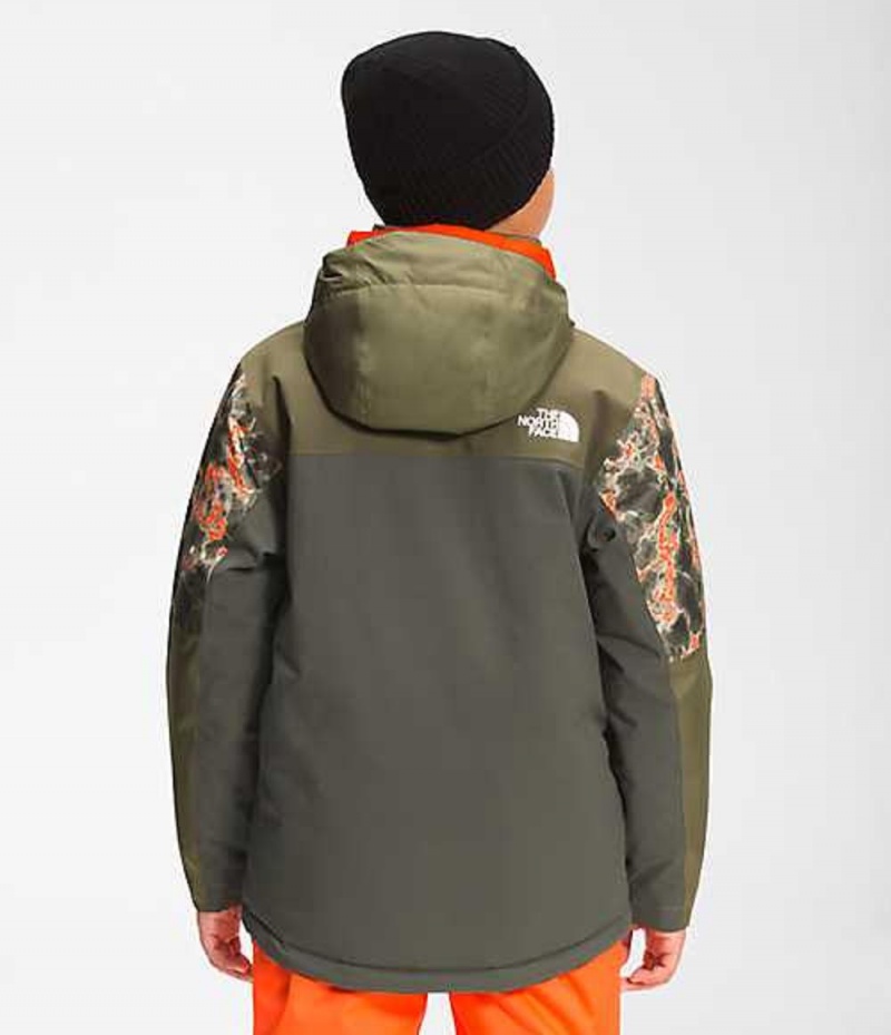 Chaquetas The North Face Freedom Niño Gris Marrones Verde | 2098716-ER