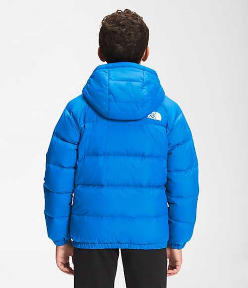 Chaquetas The North Face Hyalite Niño Azules | 5296043-RK