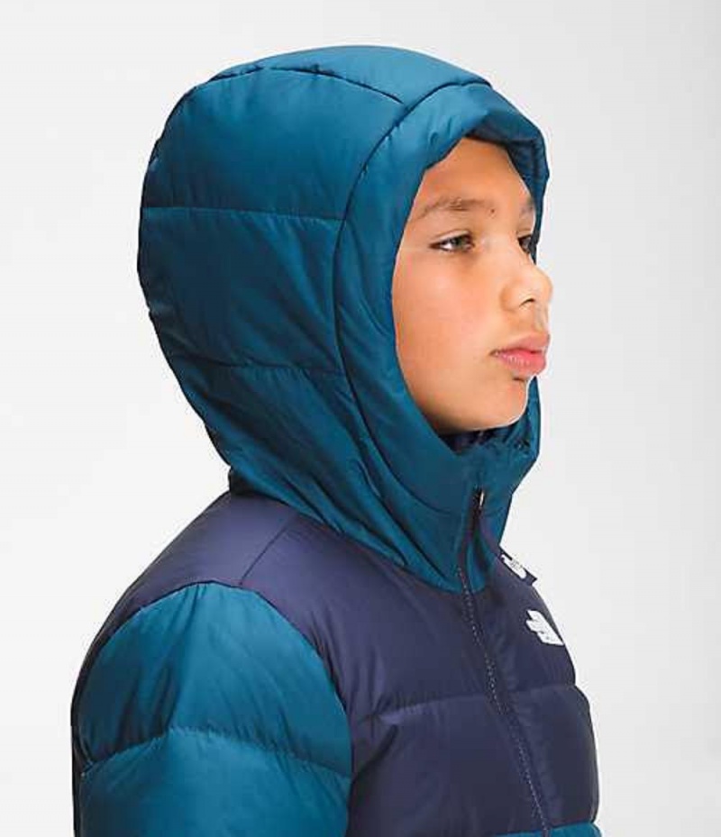 Chaquetas The North Face Moondoggy Niña Azules | 1384690-MC