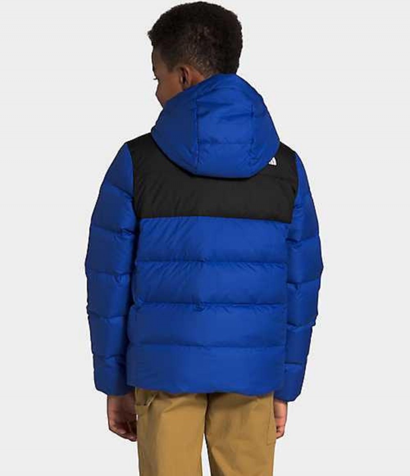 Chaquetas The North Face Moondoggy Niña Azules | 9830571-WR