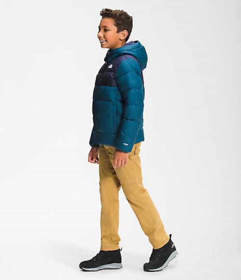 Chaquetas The North Face Moondoggy Niño Azules | 1740982-FT