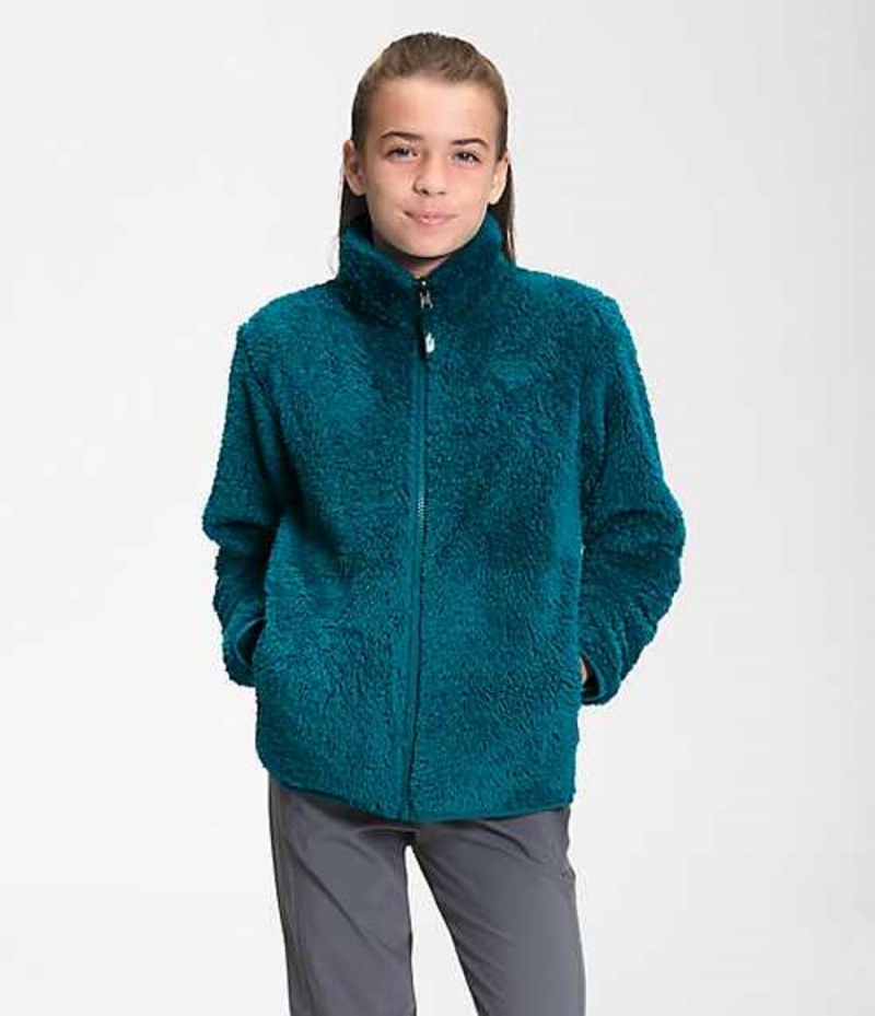 Chaquetas The North Face Suave Oso Niña Azules Oscuro | 6375014-XJ