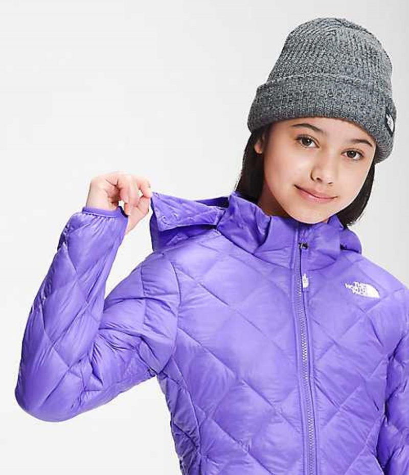 Chaquetas The North Face ThermoBall™ Eco Niña Moradas | 9784061-EJ