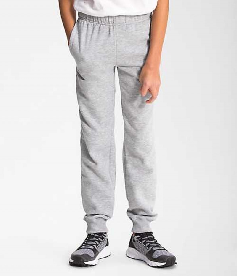 Pantalon The North Face Camp Niño Gris Claro | 0385194-UH