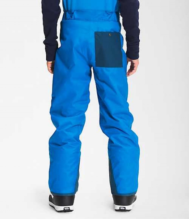 Pantalon The North Face Freedom Niño Azules | 7869013-NC