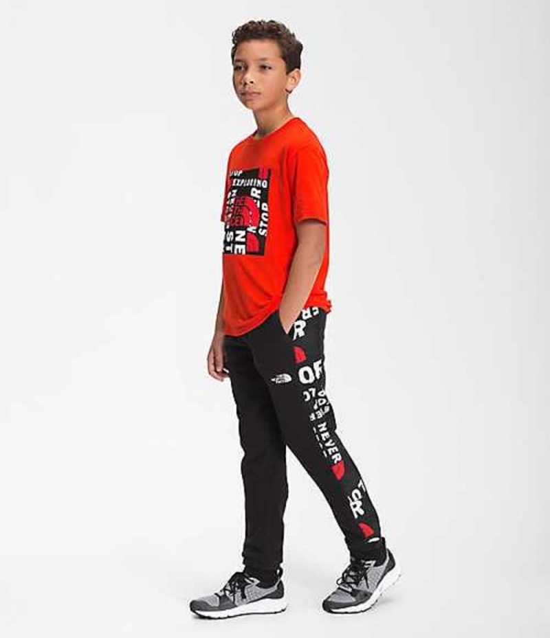 Pantalon The North Face Freestyle Niño Negras | 5193074-EL