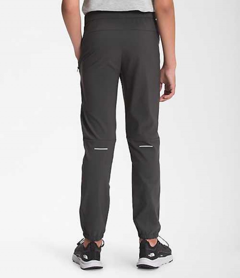 Pantalon The North Face On Mountain Niño Gris | 0768213-IX