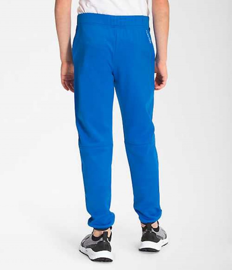 Pantalon The North Face Winter Warm Niño Azules | 5810423-AT