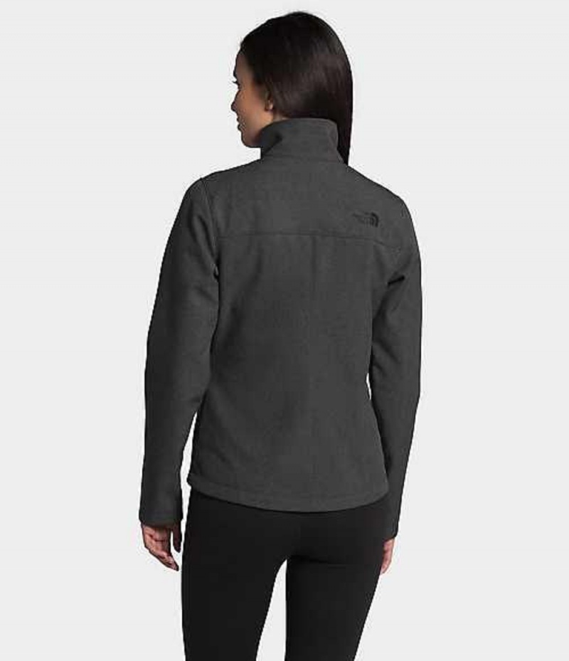 Softshell Jackets The North Face Apex Bionic Mujer Gris | 4718526-XL