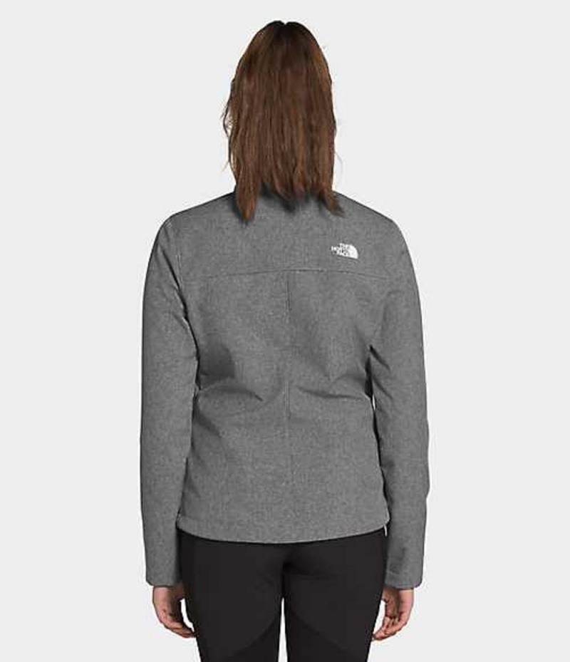 Softshell Jackets The North Face Apex Bionic Mujer Gris | 2908734-GN