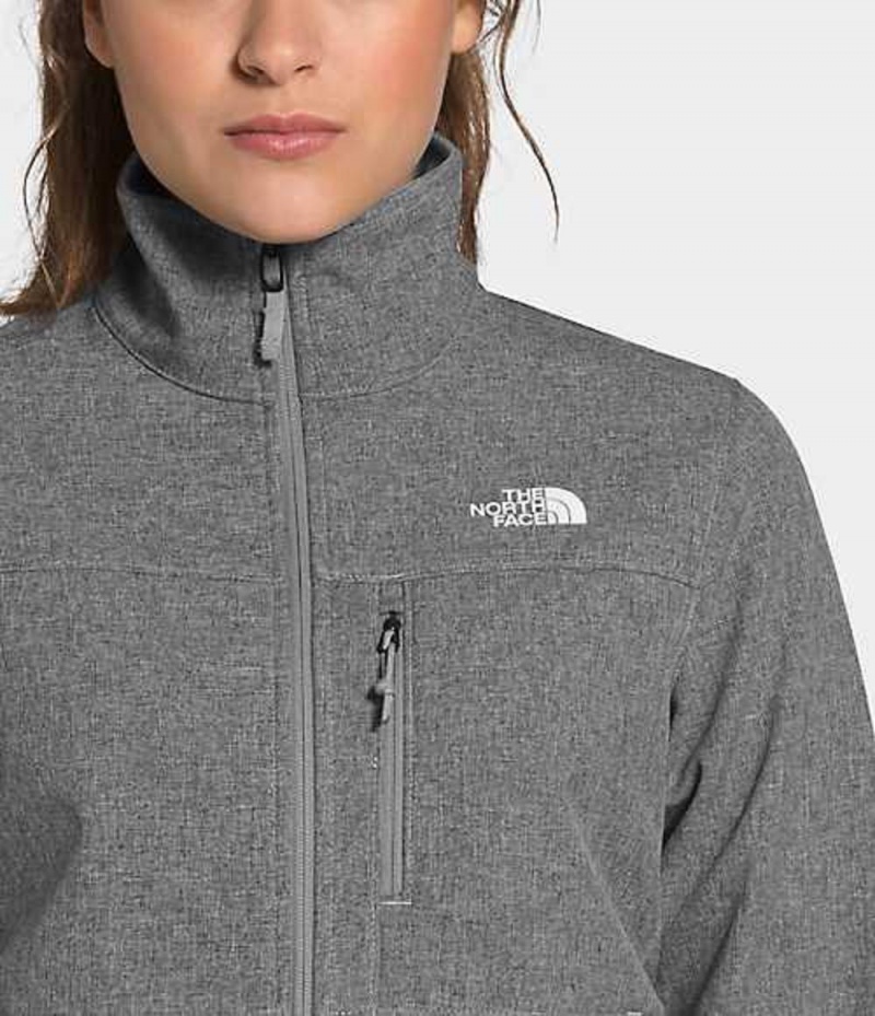 Softshell Jackets The North Face Apex Bionic Mujer Gris | 2908734-GN