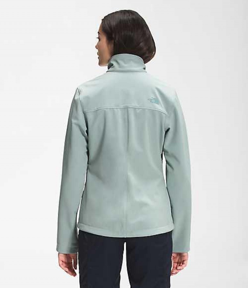 Softshell Jackets The North Face Apex Bionic Mujer Plateadas Azules | 9425318-MA