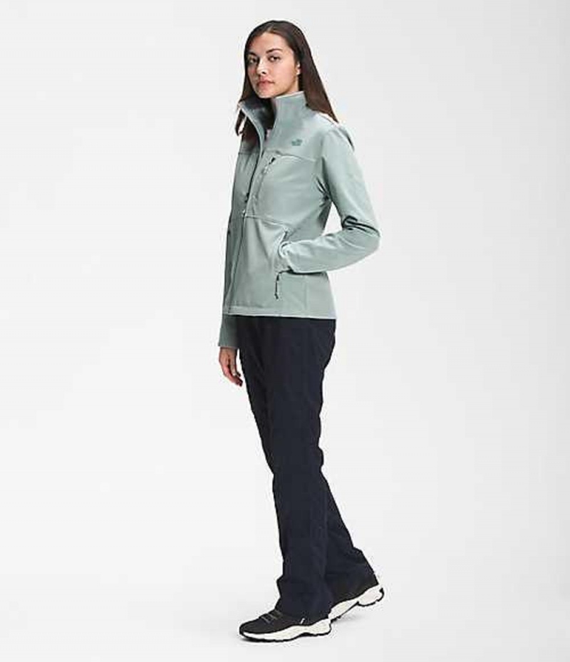 Softshell Jackets The North Face Apex Bionic Mujer Plateadas Azules | 9425318-MA