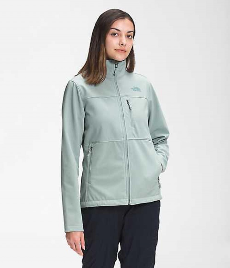 Softshell Jackets The North Face Apex Bionic Mujer Plateadas Azules | 9425318-MA