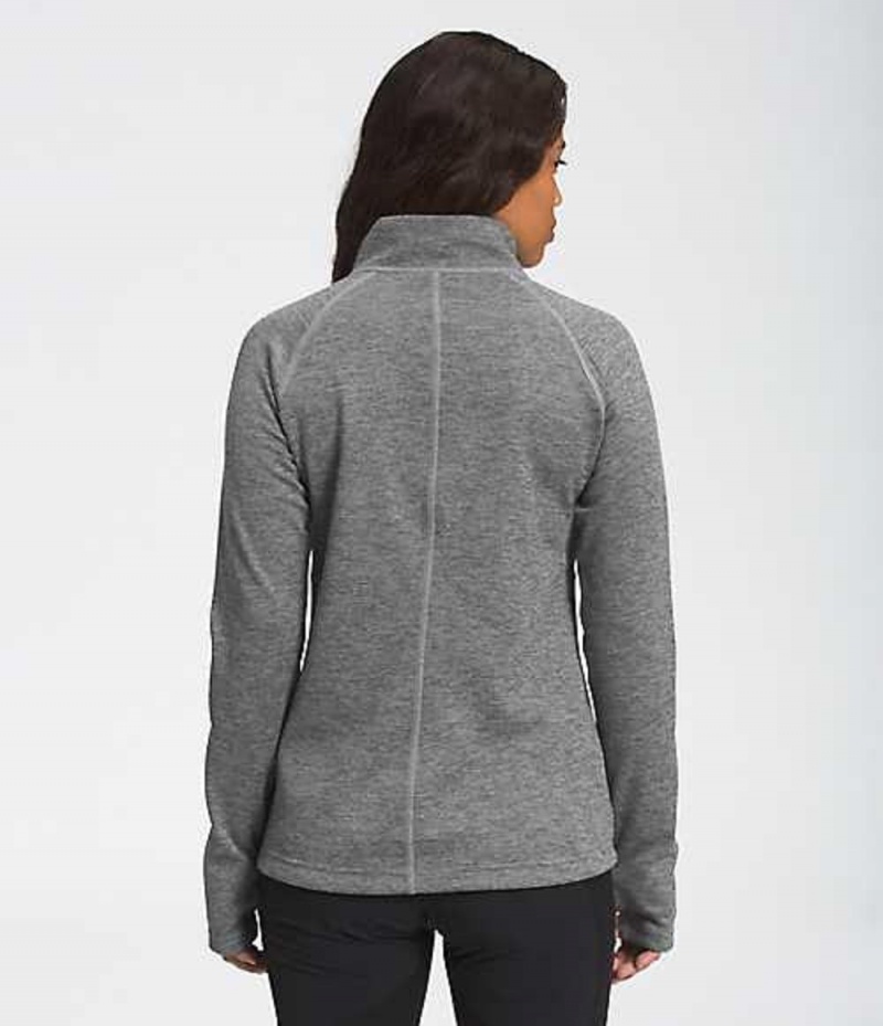 Softshell Jackets The North Face Canyonlands Mujer Gris | 2487035-BP